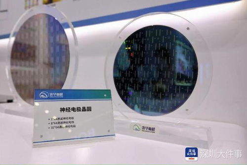 看 高交會(huì)上的這些科技 狠活